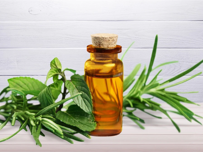 Benefits of Tea Tree Oil