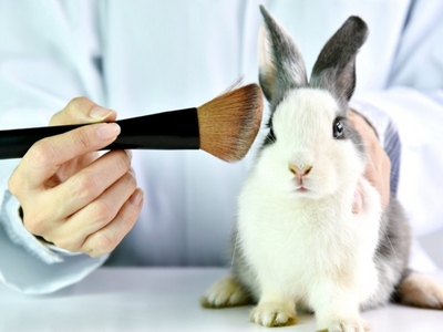 Reasons to switch to cruelty free products